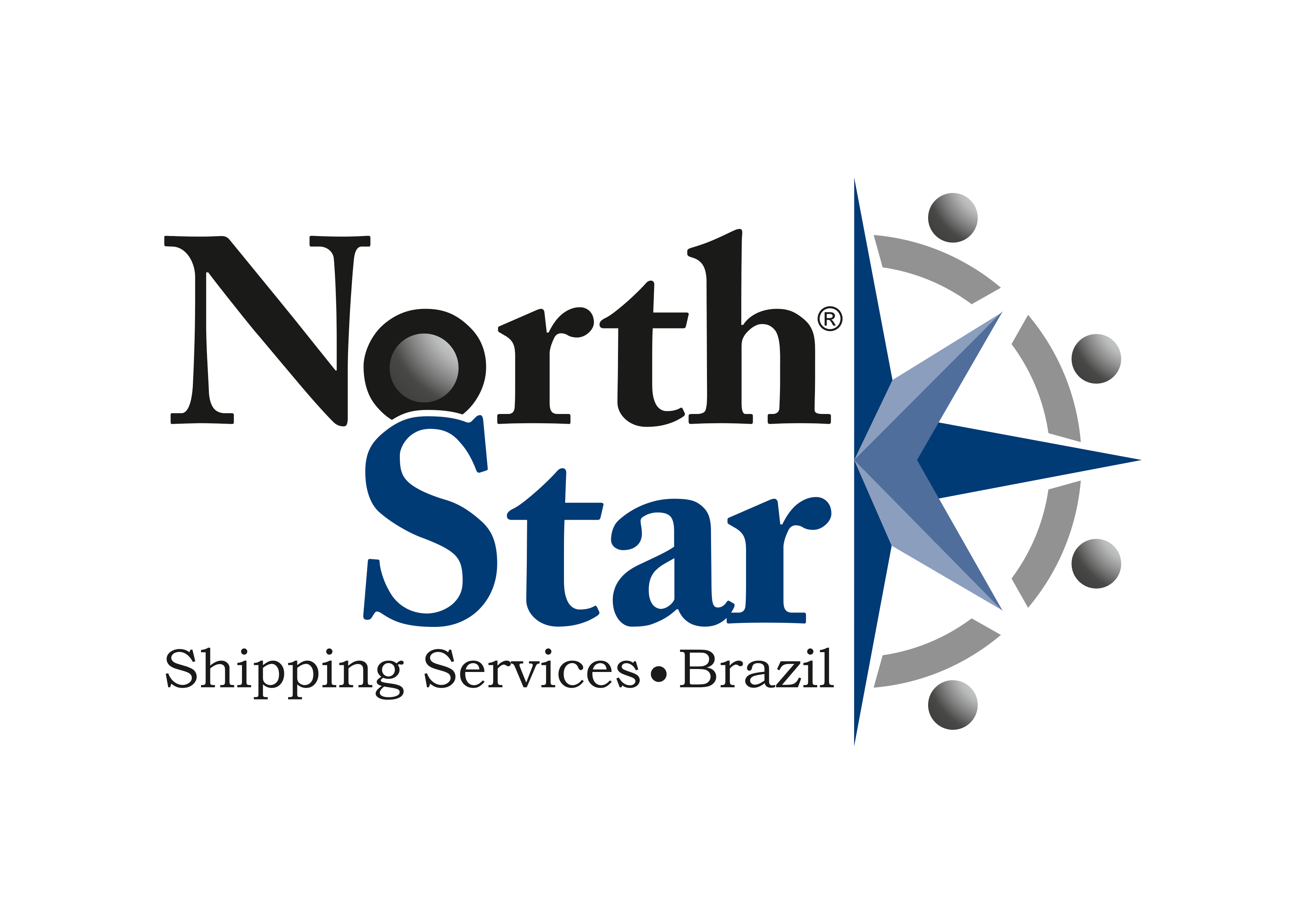 Logo North Star